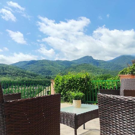 Willa Casa Palau - Relax Y Naturaleza A Los Pies Del Montseny Arbúcies Zewnętrze zdjęcie